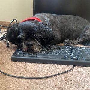 Meet your Posher, Michael